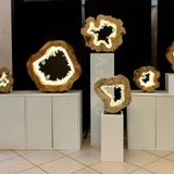 Table lamps - sliced apple tree and gold sculpture - ARANGO