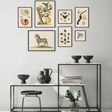 Affiches - AFFICHE I Coffret cabinet de curiosités murales - LES JOLIES PLANCHES