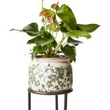 Pottery - VICTORIA Pot - AFFARI OF SWEDEN