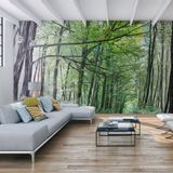 Papiers peints - Papier peint Forêt - INCREATION
