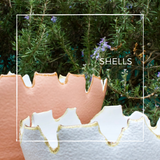 Vases - Vase de taille moyenne GUSCI/SHELLS - EVA MUN