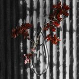 Design objects - HOLD Wall Ship - SKLO