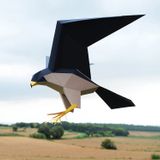Objets de décoration - Falco Peregrinus - PLEGO