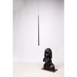 Suspensions - SLIM JIM - NEXEL
