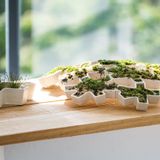 Céramique - Objets décoratifs en céramique - NEO-TAIWANESE CRAFTSMANSHIP
