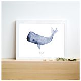 Poster - A5 poster - Whale - BLEU COQUILLE