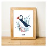 Affiches - Affiche 30X40 - Macareux Sauvage - BLEU COQUILLE