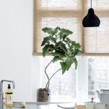 Curtains and window coverings - Brown plant roller blind - COLOR & CO