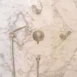 Faucets - Shower set (Thermostatic & control valve, hand-shower) Birds of Paradise collection - VOLEVATCH