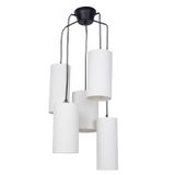 Suspensions - COSINESS suspension 5L - MARKET SET