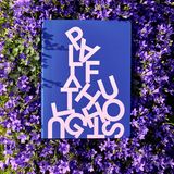 Stationery - PLAYFUL THOUGHTS - NUUNA