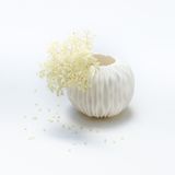 Vases - Vase rond KORALL en biscuit de porcelaine,H13,5, D11,5 - YLVAYA DESIGN