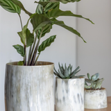 Candlesticks and candle holders - Photophore en corne - L INDOCHINEUR X RIVÊT