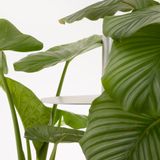 Bibliothèques - Canopée - Etagère en aluminium - METAPOLY