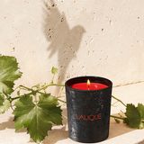 Objets de décoration - LES VENDANGES, SAINT-EMILION - BOUGIE PARFUMÉE - LALIQUE VOYAGE DE PARFUMEUR