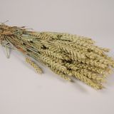 Floral decoration - Natural wheat - LE COMPTOIR.COM