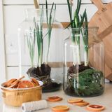Vases - Bocal Mason transparent, 20 L - ETÚHOME