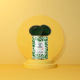 Gifts - MINIMAL / CACTUS JOUR DE CHANCE - MRS. NOBODY