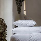 Bed linens - Sokotra pillow case. - AIGREDOUX