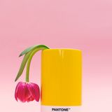 Produits sous licence - Pot à crayon crayon - PANTONE