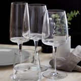 Verres - Verre VINE COLLECTION par COSTA NOVA - COSTA NOVA