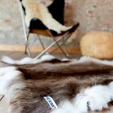 Tapis - Tapis DYRESKINN® Rennes 100-130 cm - DYRESKINN