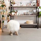 Objets design - DYRESKINN® Tabourets en peau de mouton islandais - DYRESKINN