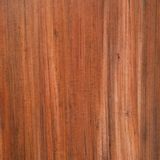 Wallpaper - Skin Wall Covering - ETOFFE.COM