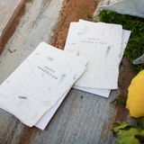 Stationery - Fern Greeting Handmade Paper Letterpress Card - OBLATION PAPERS AND PRESS