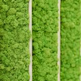 Acoustic solutions - Lichen - GREENAREA