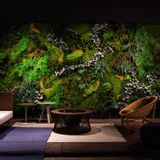 Acoustic solutions - Moss & Plants Mid vertical garden - GREENAREA