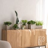 Bowls - Concrete collection - POTTERY POTS