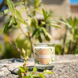 Cadeaux - Bougie parfumée Fleur d'Oranger - CONFIDENCES PROVENCE