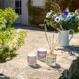 Gifts - Cotton Flower Perfume Diffuser 200ml - CONFIDENCES PROVENCE