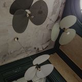 Hanging lights - Pensée - GEORGES STORE