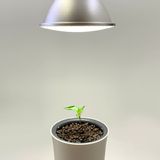 Lightbulbs for indoor lighting - Botanium Grow Light 15W - BOTANIUM