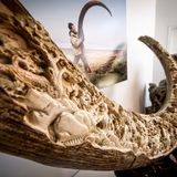 Sculptures, statuettes and miniatures - CARVED MAMMOTH IVORY - TRESORIENT