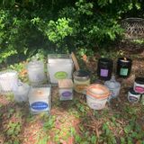 Candles - 100% VEGETABLE SOY WAX SCENTED CANDLES - L'ECHOPPE BUISSONNIERE