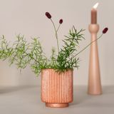 Vases - Capiz pulp vases and flower pots - KINTA