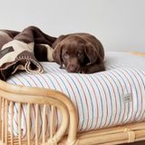 Pet accessories - OTTO DOG BED - LARGE - OYOY LIVING DESIGN