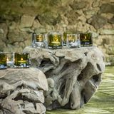 Coffee tables - Coffee Table Root Ball - GOMMAIRE