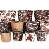 Candles - Hairy ZEBRA - VICTORIA WITH LOVE COLLECTION