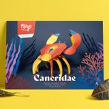 Children's decorative items - Cancridae - PLEGO