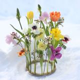 Floral decoration - Kenzan Ring - HANATABA - THE BOUQUETMAKER