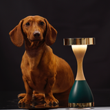 Objets design - Z1 - VIRGINIA FIELD