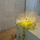 Design objects - Lantern - NATALIE SANZACHE