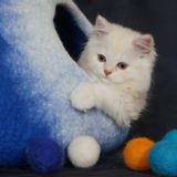 Accessoires animaux - Cocon ou grotte pour chats. - COCOON PARIS
