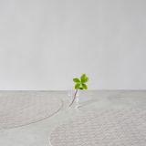 Contemporary carpets - BAY WEAVE Placemat and rugs - CHILEWICH
