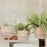 Affiches - Jardinières suspendues avec corde en coton tressé à la main - CRAFTPAIR