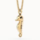 Jewelry - Sea Horse Necklace - CHOCLI